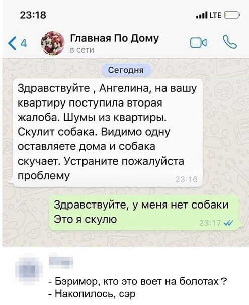 2318 ТЕ 7 Сегодня Здравствуйте Ангелина на вашу квартиру поступила вторая жалоба Шумы из квартиры Скулит собака Видимо одну оставляете дома и собака скучает Устраните пожалуйста проблему Здравствуйте у меня нет собаки Это я скулю Баримор кто это воет на болотах _ Накопилось сэр
