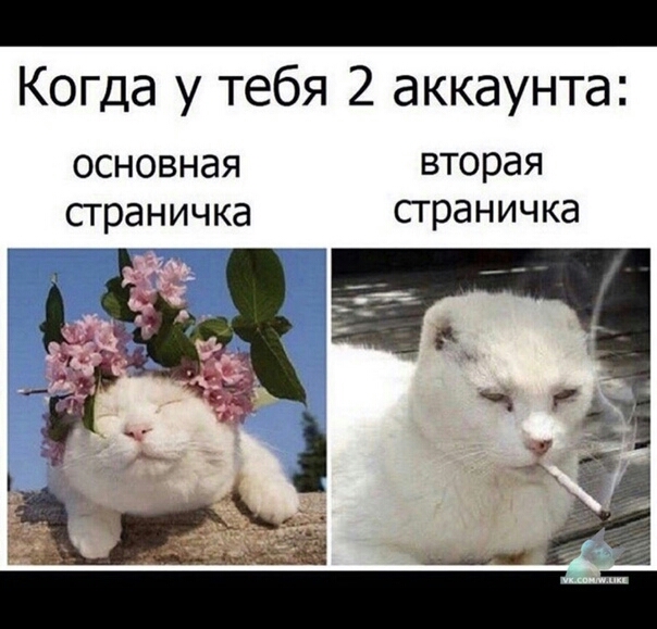 _ Когда у тебя 2 аккаунта основная вторая страничка сграничка