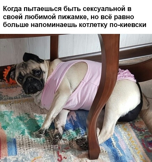 Когда пытаешься быть сексуальной в своей любимой пижамке но всё равно больше напоминаешь котлетку по киевски