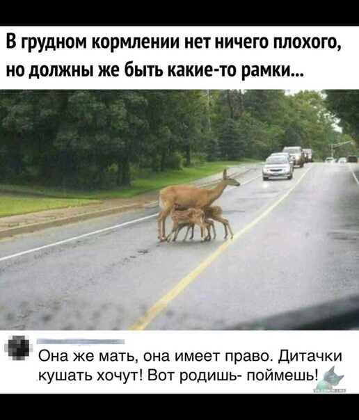 В грудном кормлении нет ничего ПЛОХОГО НО дОЛЖНЫ ЖЕ бЫТЬ какие то рамки Она же мать она имеет право Дитачки кушать хочут Вот родишь поймешь
