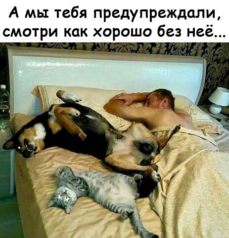 А мы тебя предупреждали смотри как хорошо без неё