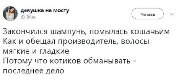 евушканамоау Закончился шампунь помылась кошачьим Как и обещал производитель волосы мягкие и гладкие Потому что котиков обманывать последнее дело