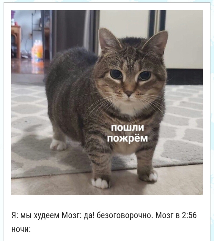 пошли пожрём Я мы худеем Мозг да безоговорочно Мозг в 256 ночи