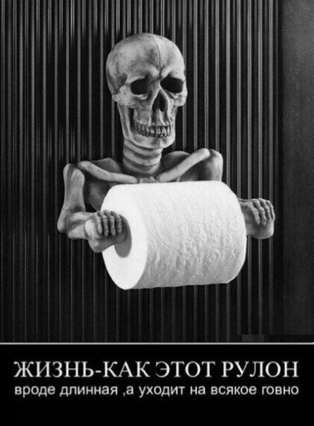 ЖИЗНЬ КАК ЭТОТ РУЛОН вроде длинная а уходит на всякое говно