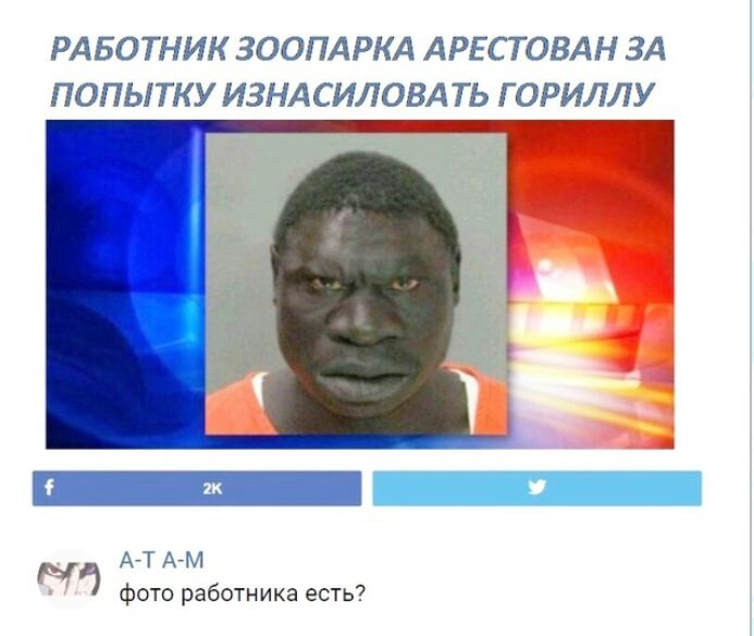 РАБОТНИК ЗООПАРКА АРЕСТОВАН ЗА ПОПЫТКУ ИЗНАСИЛОВАТЬ ГОРИЛЛУ АЙТ А7М М фото работника есть