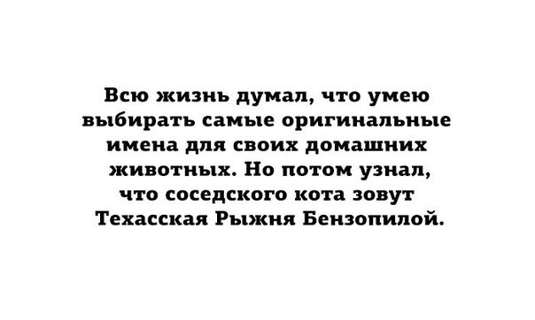 Всю жизнь думал что умею выбирать самые оригинальные имена для своих домашних животных Но потом узнал что соседского кота зовут Техасская Рыжня Бензопилой