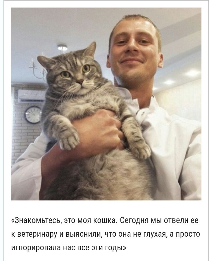 ЗНЗКОМЬТЕСЦ ЭТО МОЯ КОШКЗ Сегодня МЫ ОТВЭЛИ ее К ветеринару И ВЫЯСНИЛИ ЧТО она не Глухая а ПРОСТО ИГНОРИРОВЭЛЭ нас все ЭТИ ГОДЫ