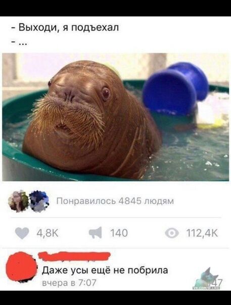 Выходи я подъехал