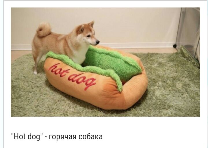 Нот йод горячая собака