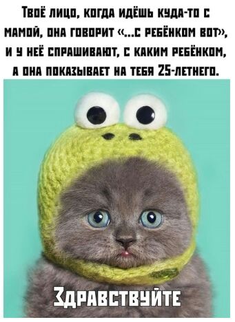 Ти лицп киш илшь киш тп илмий иии гипгит Шикин Ш и ині пиишипип кпкин шіикпи пип ппшыип и ты 25 пписгп Здпдвстйнйітвс