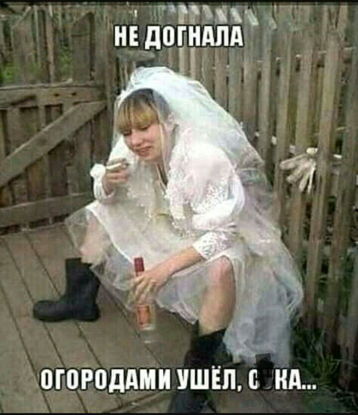 догоіюддми ушёл с нд