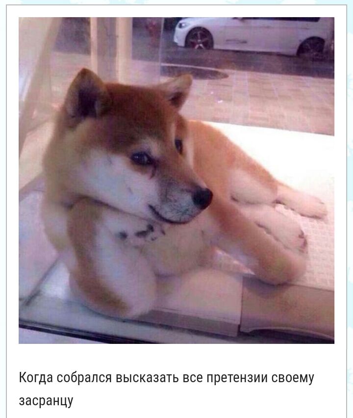 Когда собрался ВЫСКЭЗЗТЬ все ПРЕТЕНЗИИ СВОЭМУ засранцу