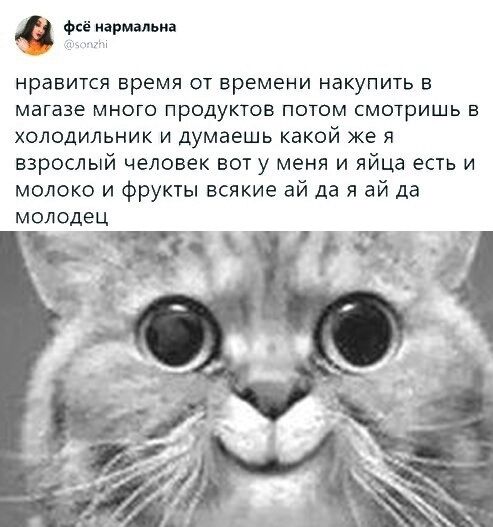 иармальиа нравится время от времени накупить в магазе МНОГО ПРОДУКТОВ ПОТОМ СМОТРИШЬ Е холодильник и думаешь какой же я взрослый человек вот у меня и яйца есть и молоко и фрукты всякие ай да я ай да МОЛОДЕЦ