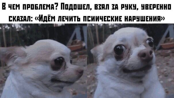 чнм пгпнпшп Ппдпшш взял и инки ишшип кшп Идём лшить ппиичшин иппишшип