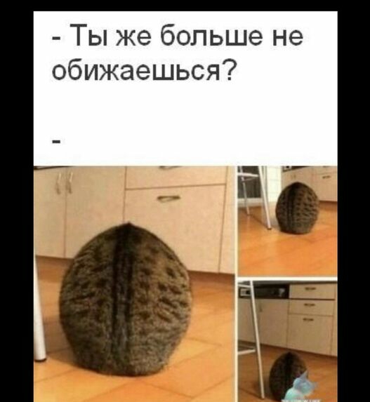 Ты же больше не обижаешься