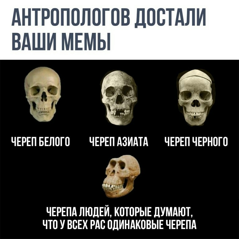 АНТРОППЛОГПВ ДОСТАЛИ ВАШИ МЕМЫ мг 1 _Ы ЧЕРЕП БЕЛПП ЧЕРЕП Ази чнгвп чпнпго ЧЕРЕПА ЛЮДЕЙ КПТПРЫЕ ЦУМАШТ ЧП У ВСЕХ РАС ПЛИНАКПВЫЕ ЧЕРЕПА
