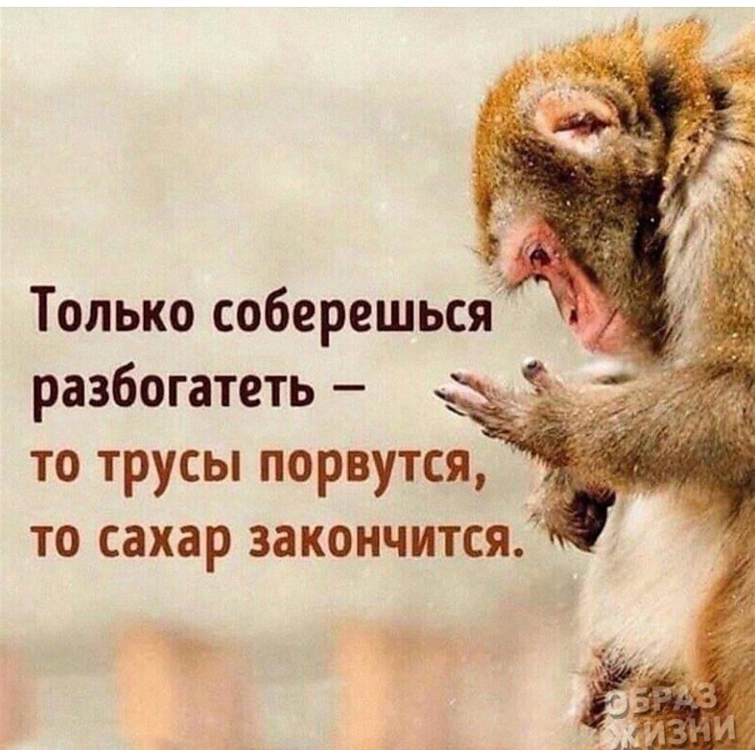 Только соберешься разбогатеть то трусы порвутся _ то сахар закончится