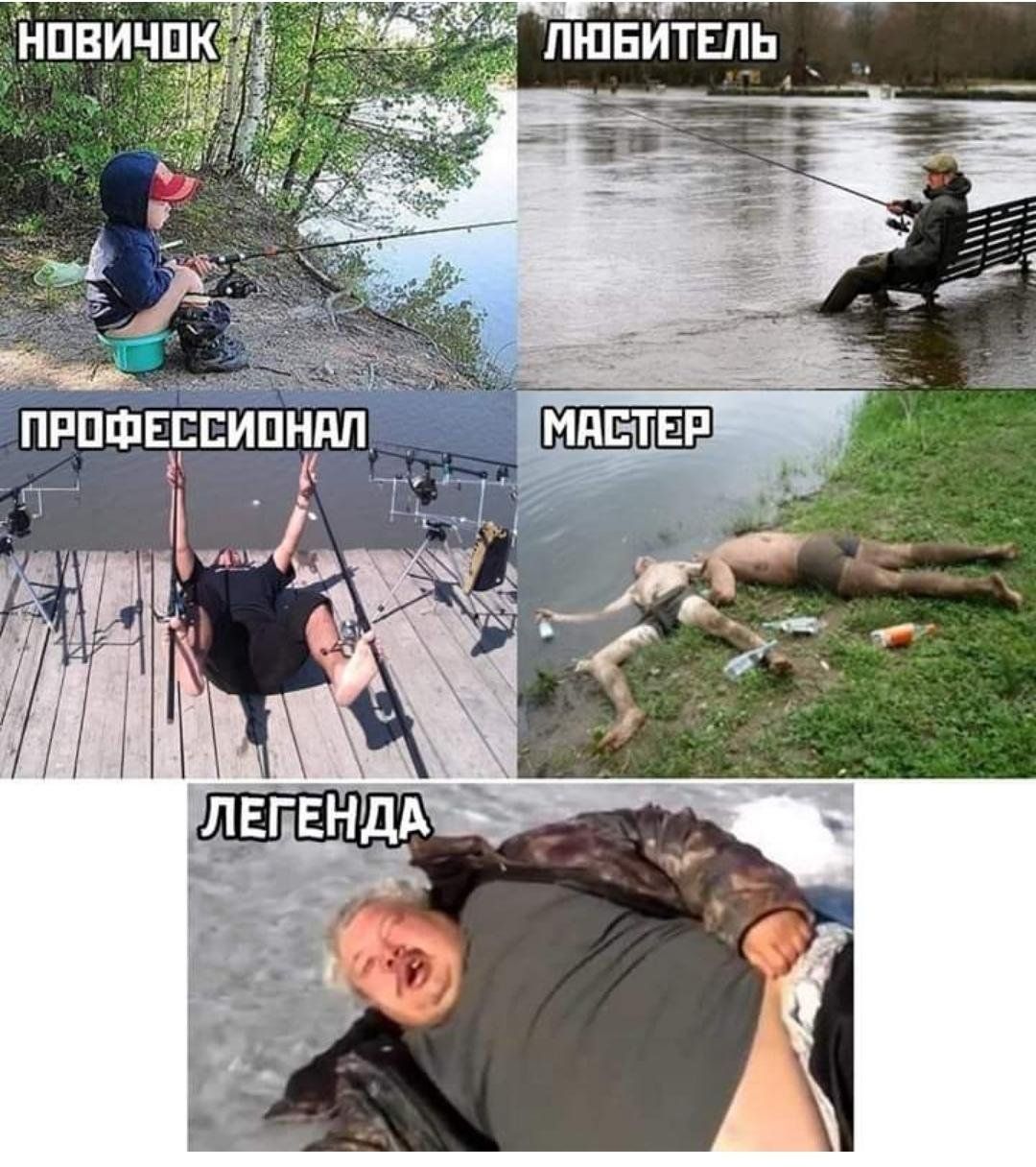 ПЮБИТЕПЬ