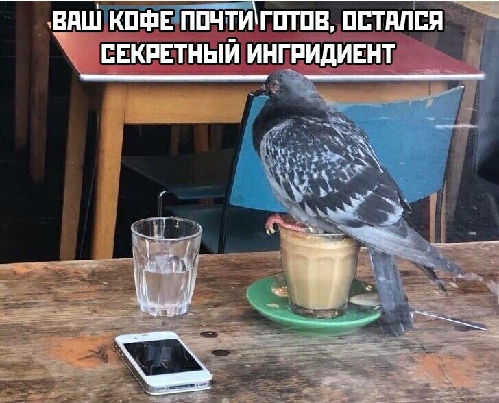 вдшікпшвіппчтитптпвпптдппя Ча пвкпвтный ингридиъ___нт