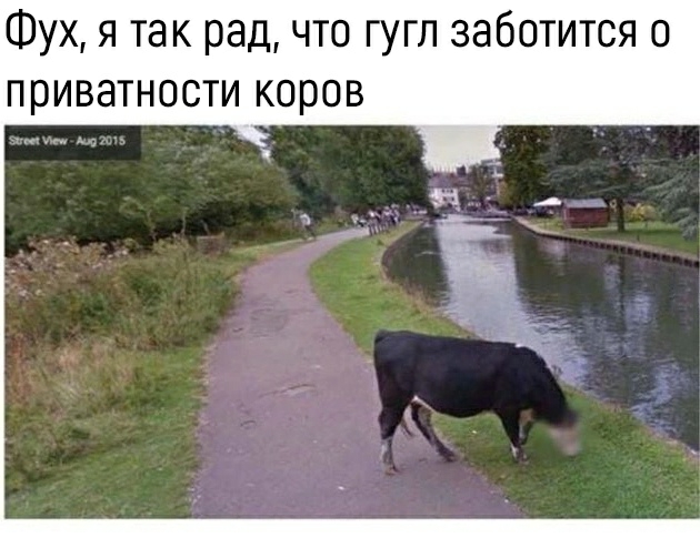 Фух я так рад что гугл заботится о приватности коров