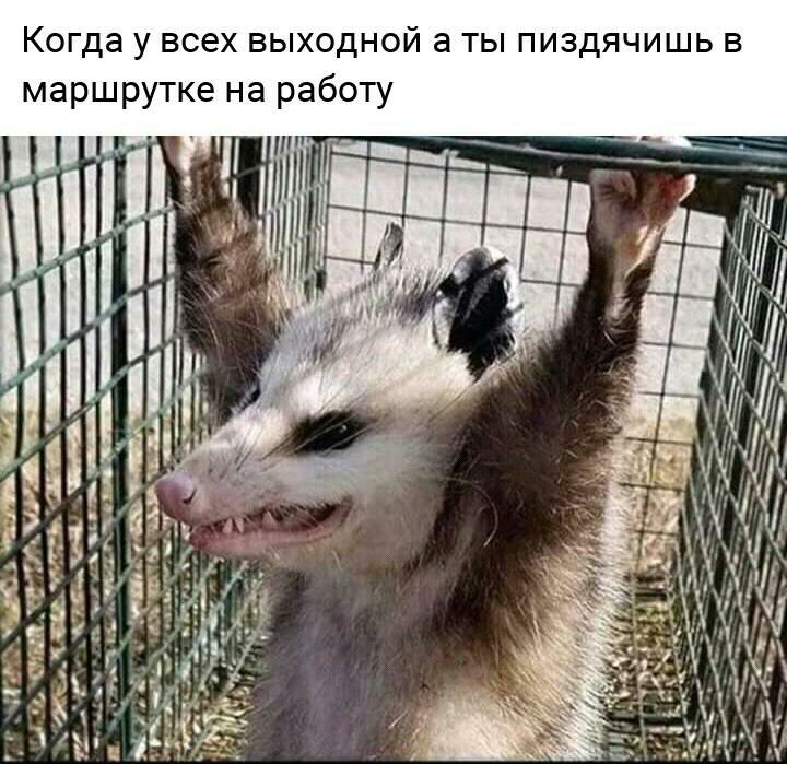 В Ь Ш И Ч Я д 3 И П Ы Т 3 И О Н д 0 Ы Ь В Х 6 С В у а д Г О К о б а о а Н е К Т у 0 ш 0 а М