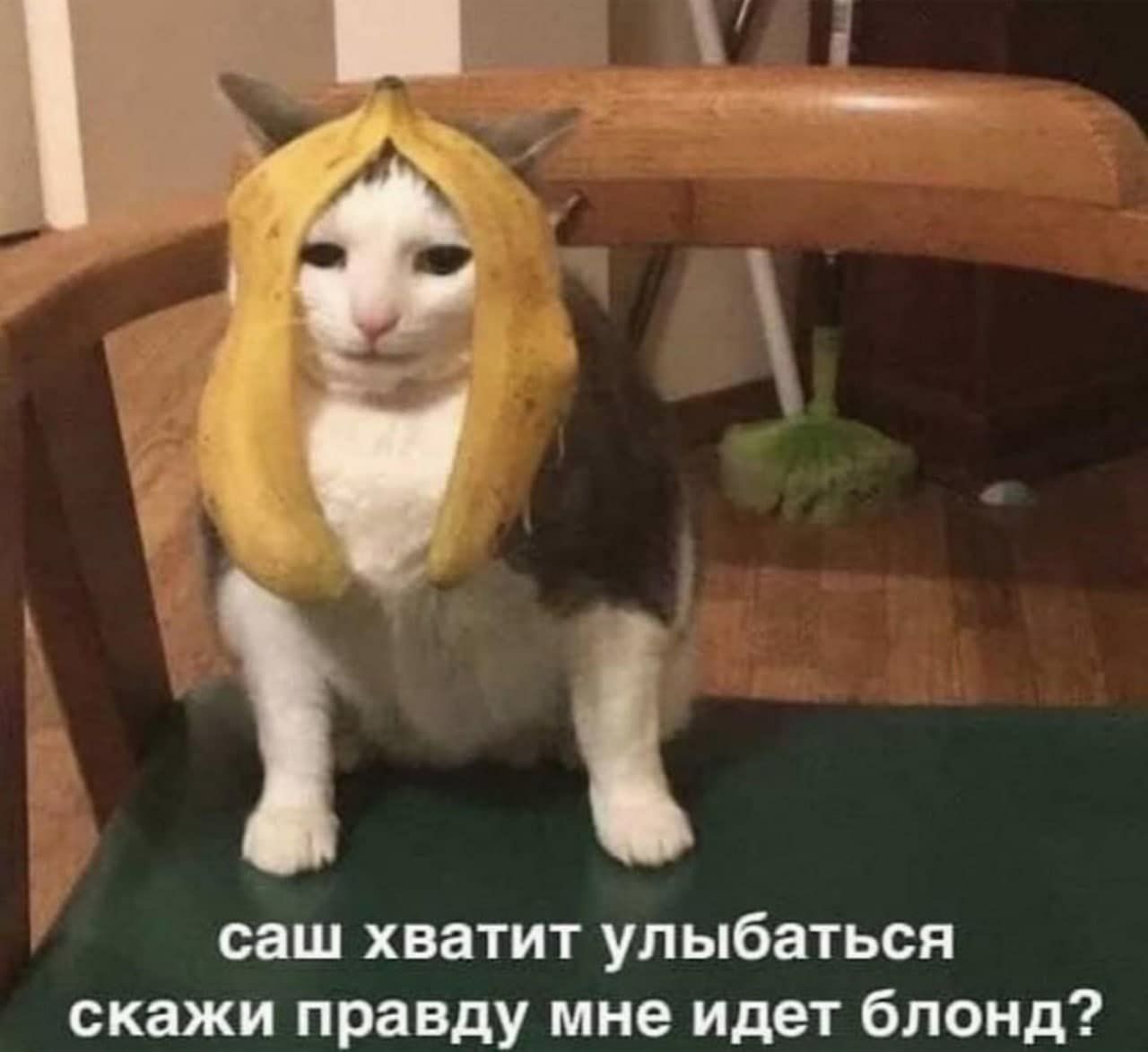 с _ 7 саш хватит улыбаться скажи правду мне идет блонд