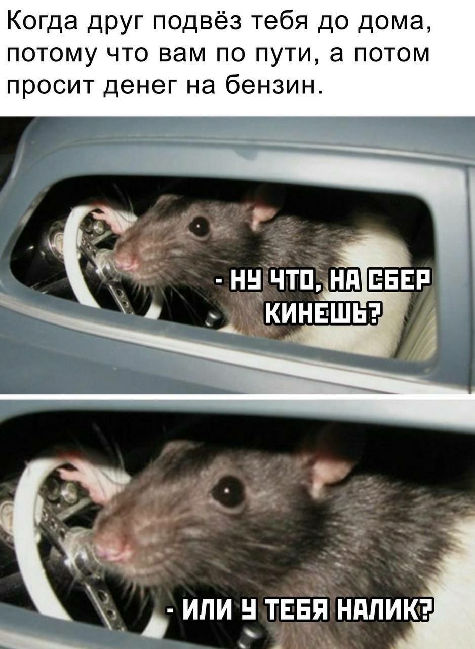 Когда друг подвёз тебя до дома потому что вам по пути а потом просит денег на бензин ИЛИ ТЕБЯ НдЛИК