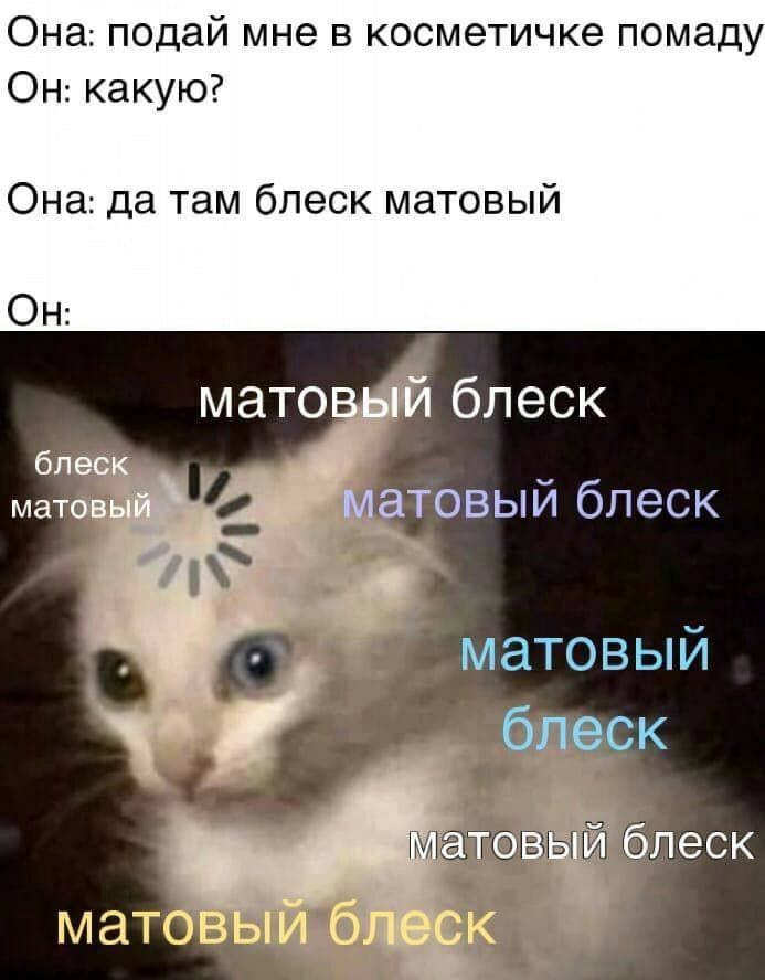 Она подай мне в косметичке помаду Он какую Она да там блеск МЗТОВЫЙ _ и товый блеск матовый ібпеск ёПГОГ3ГЫЙ леск
