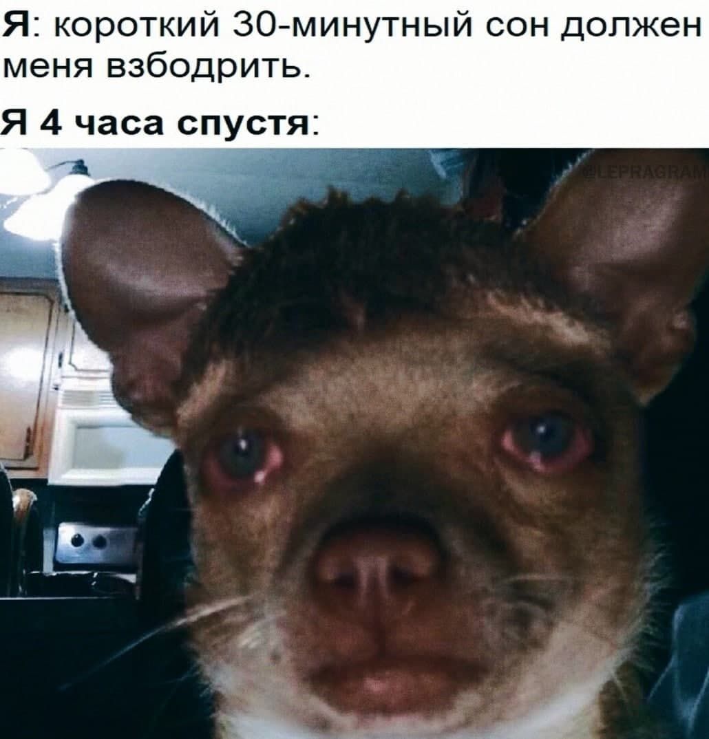 Я короткий ЗО минутный сон должен меня взбодрить 4 часа спустя
