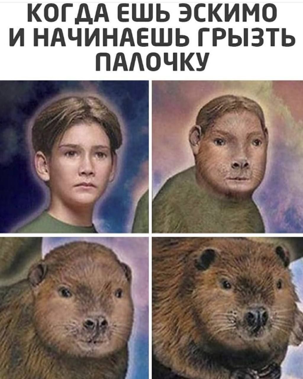 когдА ешь эскимо и ндчиндешь грызть пддочку _
