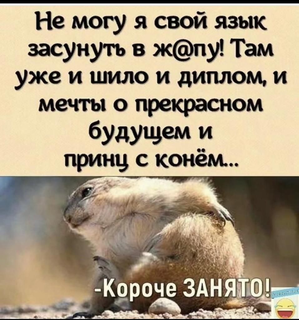 Не могу я свой язык засунуть в жпу Там уже и шило и диплом и мечты о прекрасном будущем 3 принц с конем