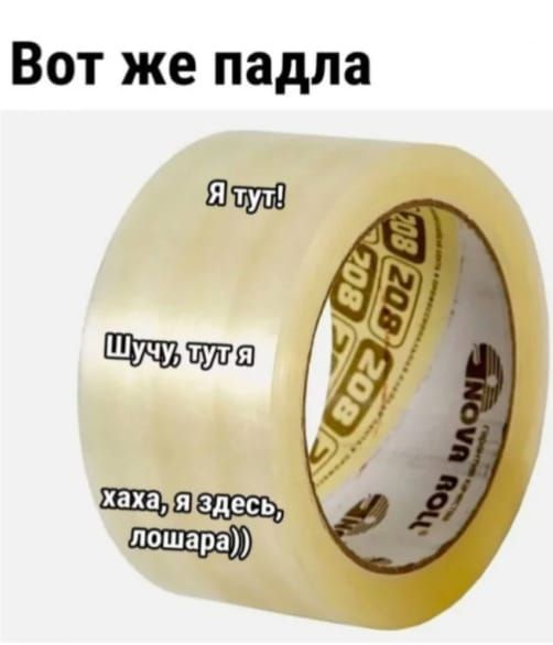 Вот же падла