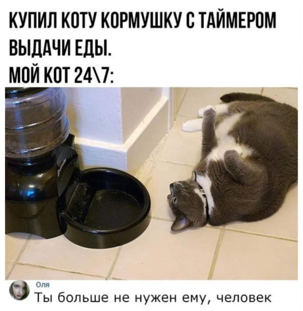 КУПИЛ КПТУ КОРМУШКУ ТАЙМЕРПМ ВЫДАЧИ ЕДЫ МОЙ КПТ 247 0 Ты больше не нужен ему человек