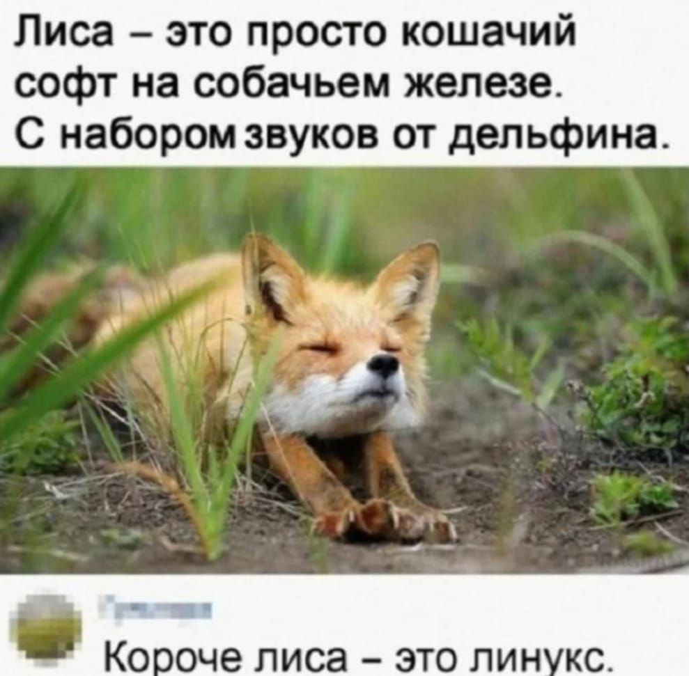 Лиса это просто кошачий софт на собачьем железе С набором звуков от дельфина оче ПИСЗ ЭТО ПИН КС