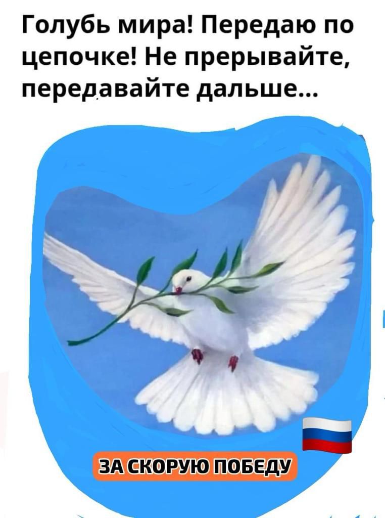 Голубой голубь песня