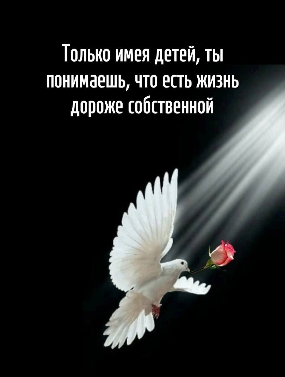 Только имея детей, ты понимаешь, что есть жизнь дороже собственной