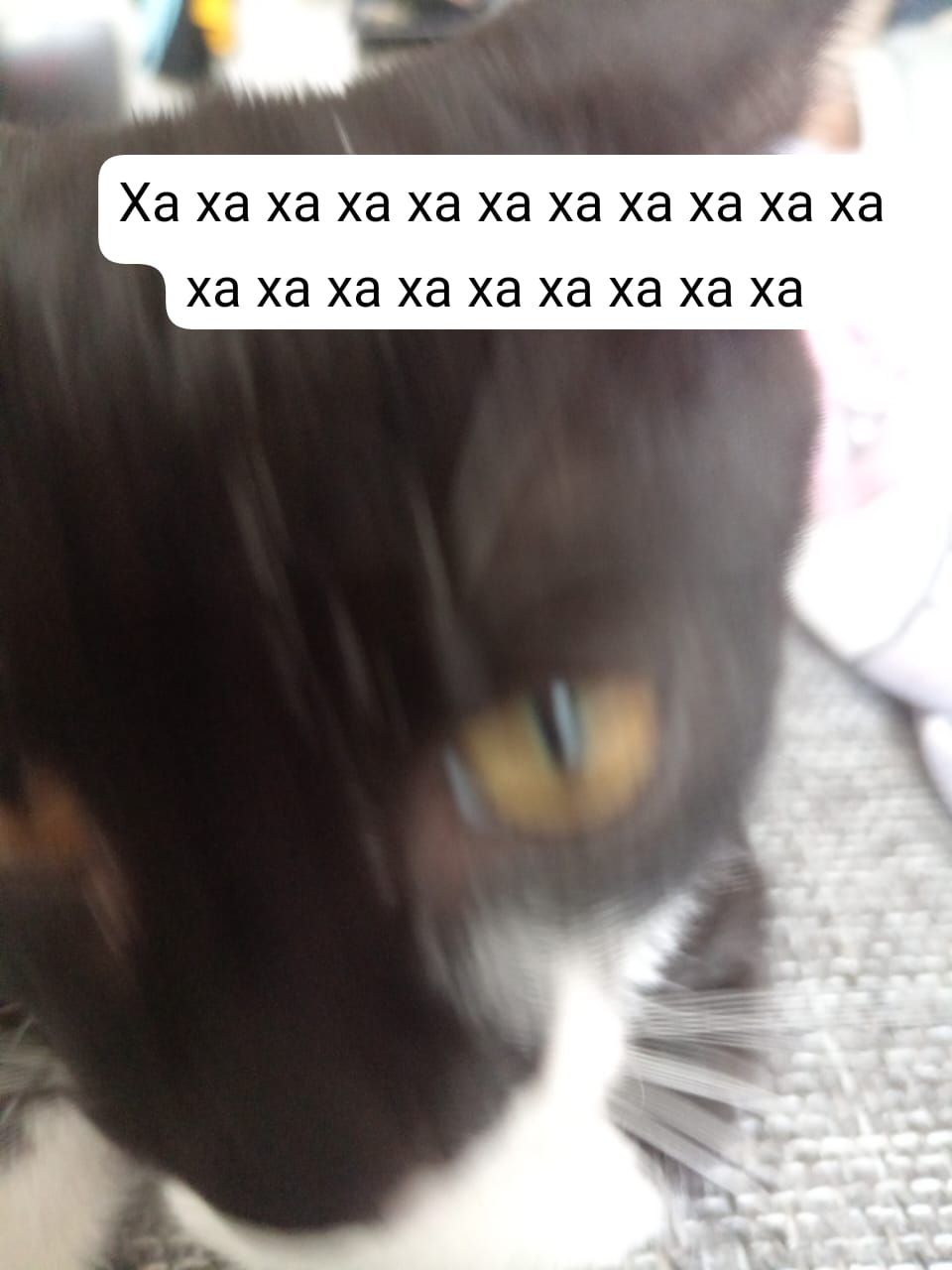 Ха ха ха ха ха ха ХЭ ха ха ха ха ха ха ха ха ха ха ха ха ха