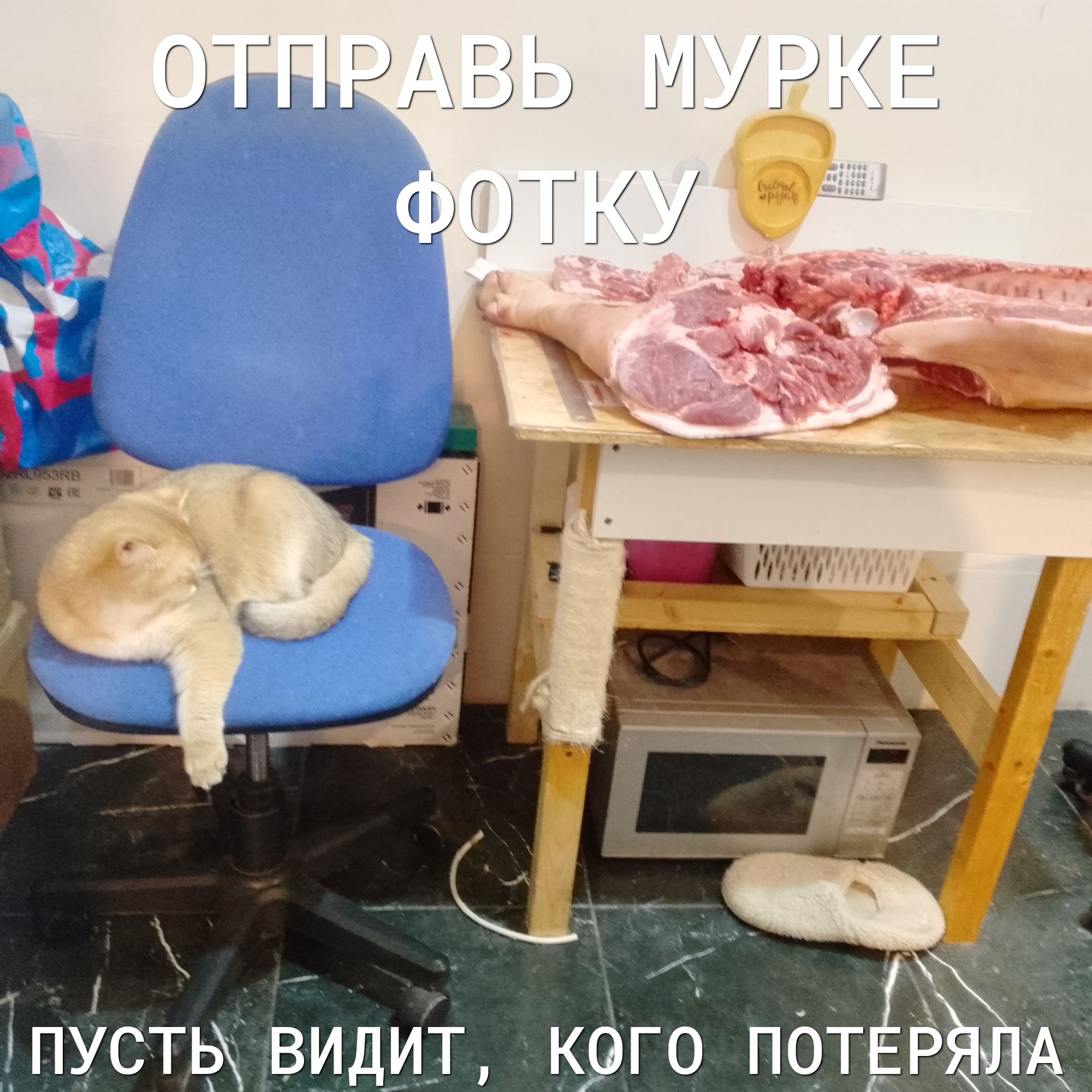 тпусты видит крго пОтЁёА