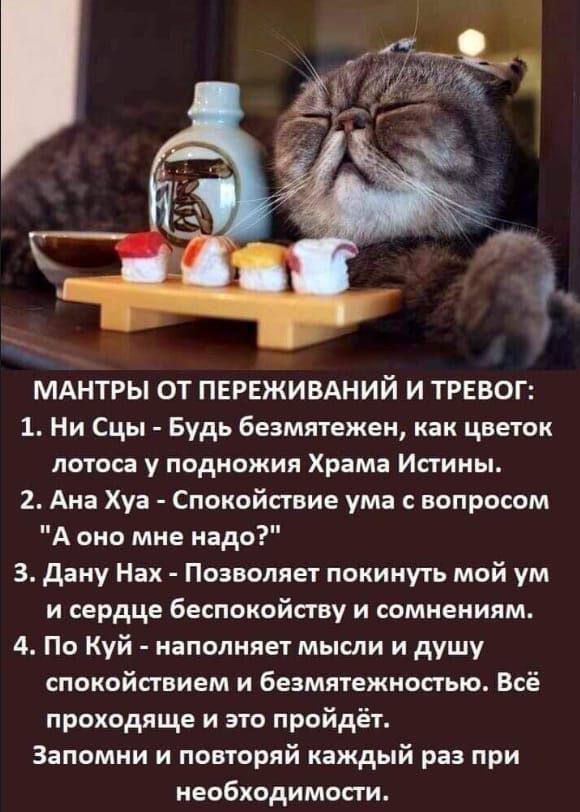 МАНТРЫ ОТ ПЕРЕЖИБАНИЙ И ТРЕВОГ 1 Ни Сцы Будь безмятежен как цветок лотоса у подножия Храма Истины 2 Ана Хуа Спокойствие ума вопросом А оно мне надо 3 дану Нап Позволяет покинуть мой ум и сердце беспокойству и сомнениям 4 По Куй наполняет мысли и душу спокойствием и безмятежностыо Всё проходяще и это пройдёт Запомни и повторяй каждый раз при необходимости