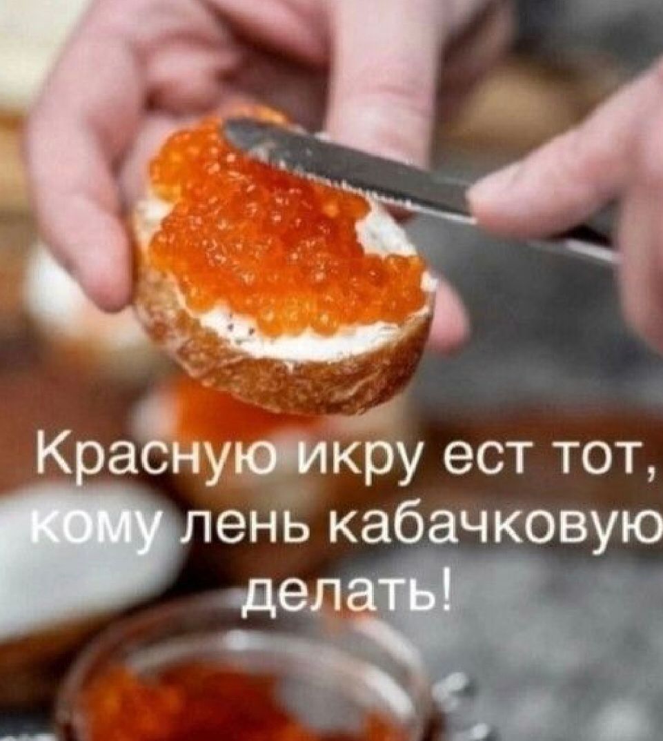 К ад пучтйау ест тот лень кабачковую