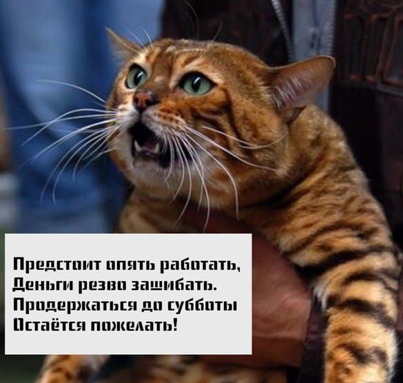 Пшдпитнпш рабиппп дпни т рп вни за наш Прид рпкашш ди уйти Ппащш пшяшмш