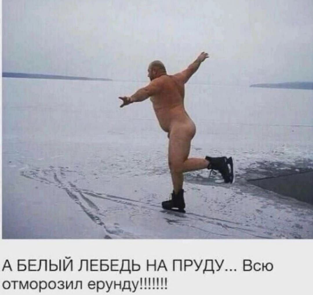 А БЕЛЫЙ ЛЕБЕДЬ НА ПРУДУ Всю отморозил ерунду