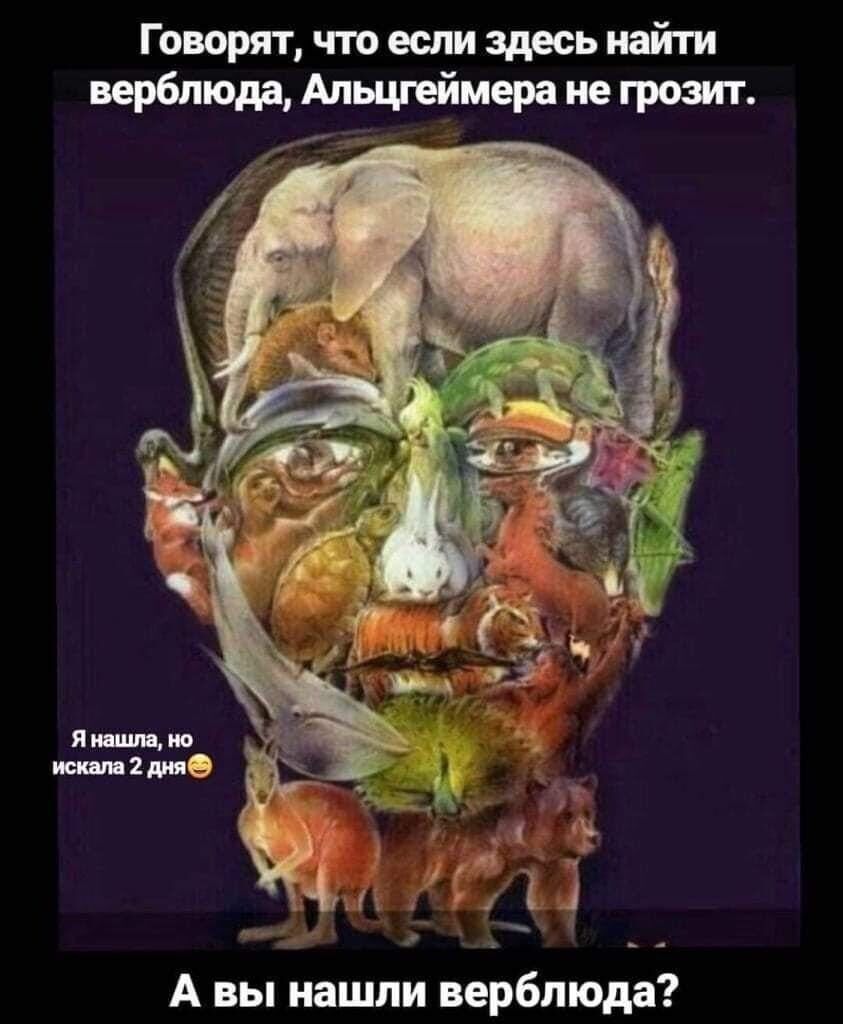 А вы нашли верблюда