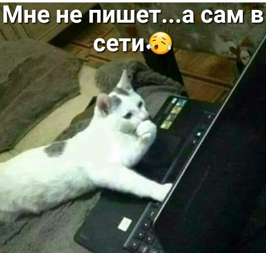 Мне не пишета сам в сетиб