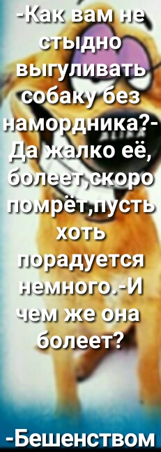 порадуэтш малышуИ 113311 2333 О Бешенством