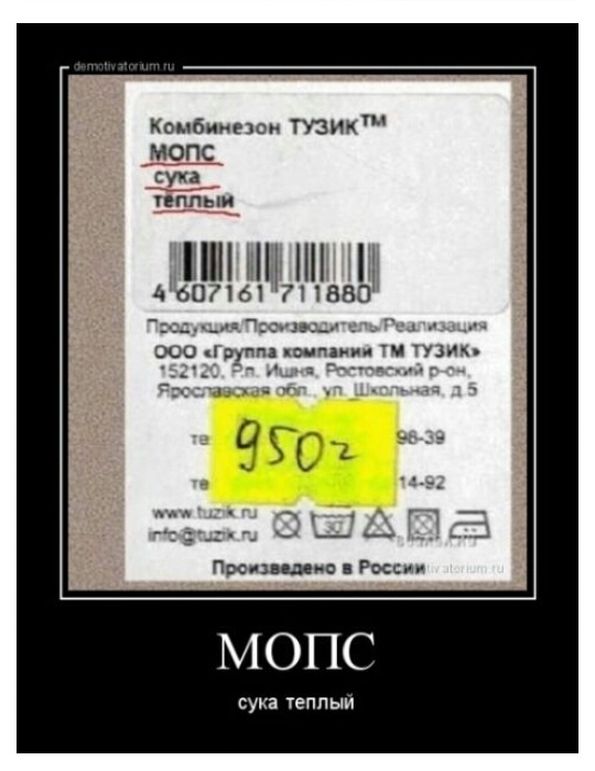Комбиипви Тузик мопс сука ППЫИ 460161РПББЭ ооо рппд д 3 Прем шие Росси сука теплый