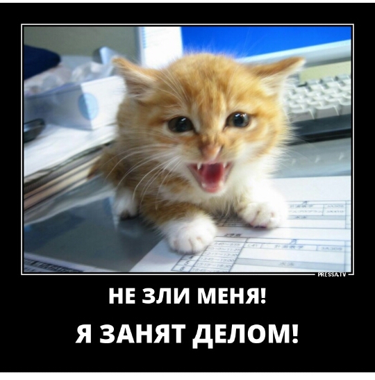 НЕ ЗЛИ МЕНЯ Я ЗАНЯТ дЕЛОМ