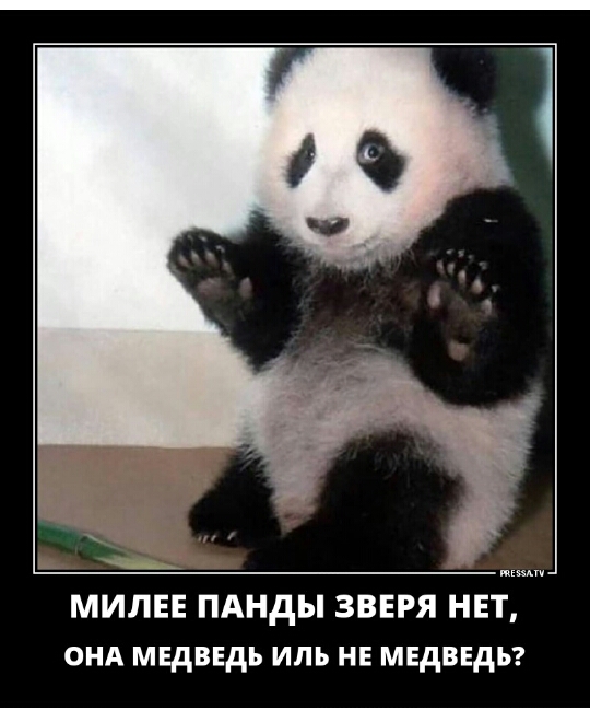 онд мндввдь иль нв мвдввдьг