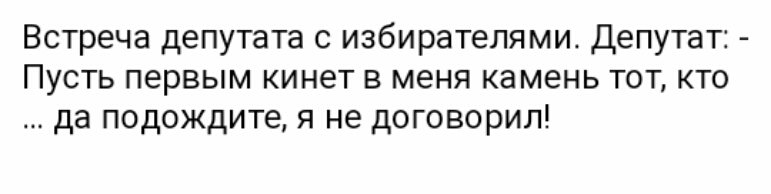 Встреча депутата с избирателями Депутат Пусть первым кинет в меня камень тот кто да подождите я не договорил