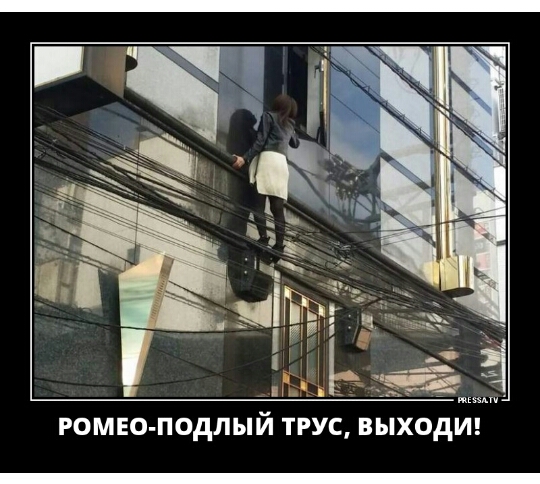 ромео подлый ТРУС ВЫХОД